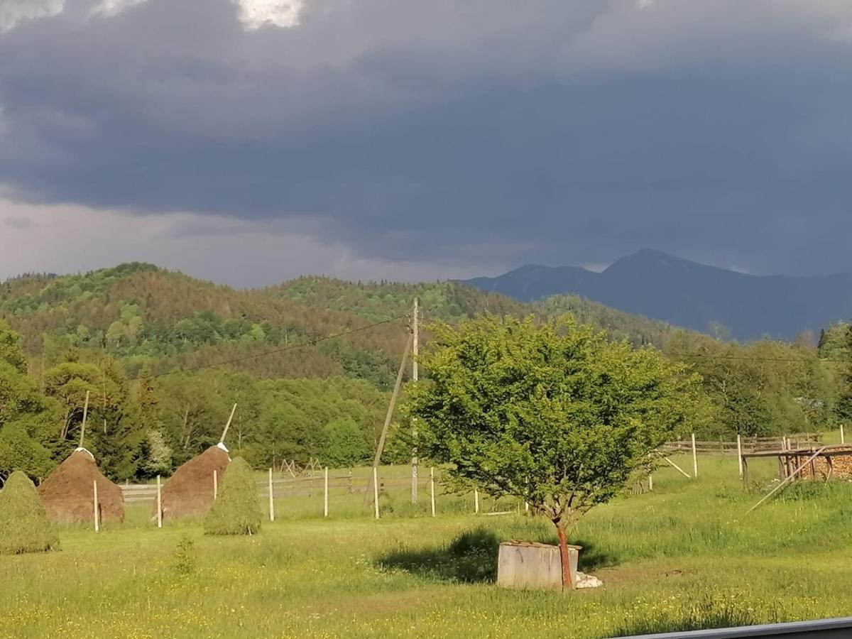 Pensiunea Freya Colibiţa Esterno foto